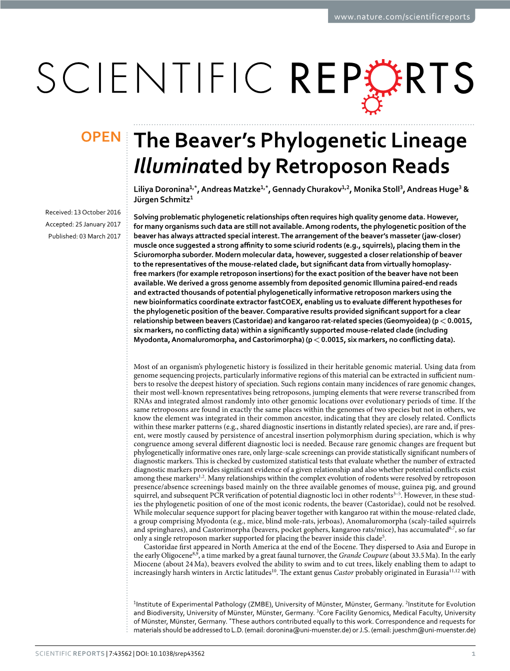 The Beaver's Phylogenetic Lineage Illuminated by Retroposon Reads