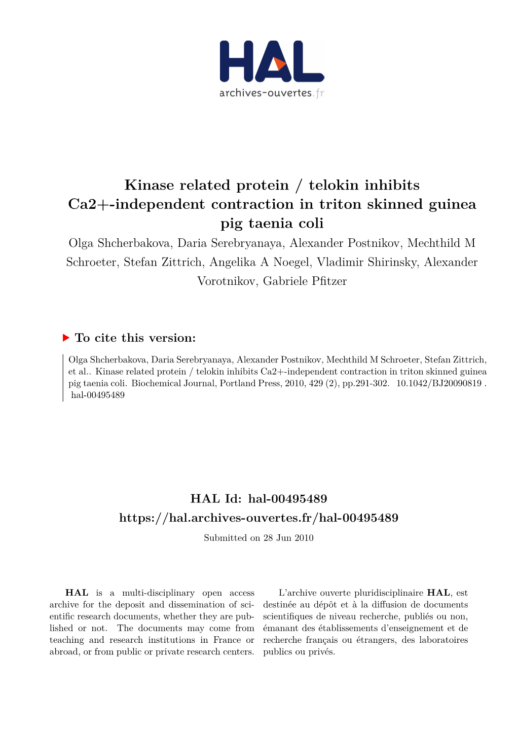 Kinase Related Protein / Telokin Inhibits Ca2+-Independent Contraction in Triton Skinned Guinea Pig Taenia Coli