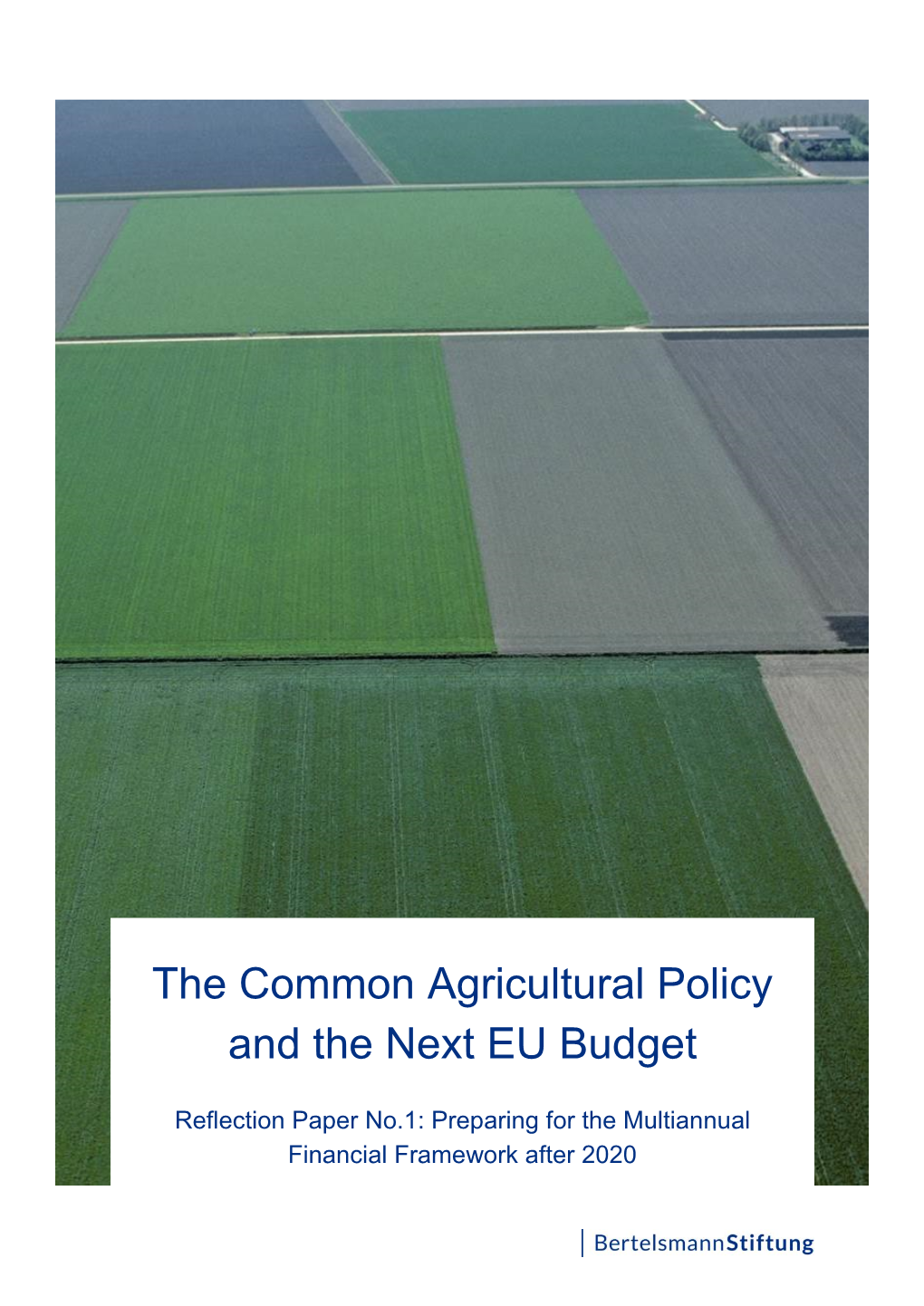 The Common Agricultural Policy and the Next EU Budget