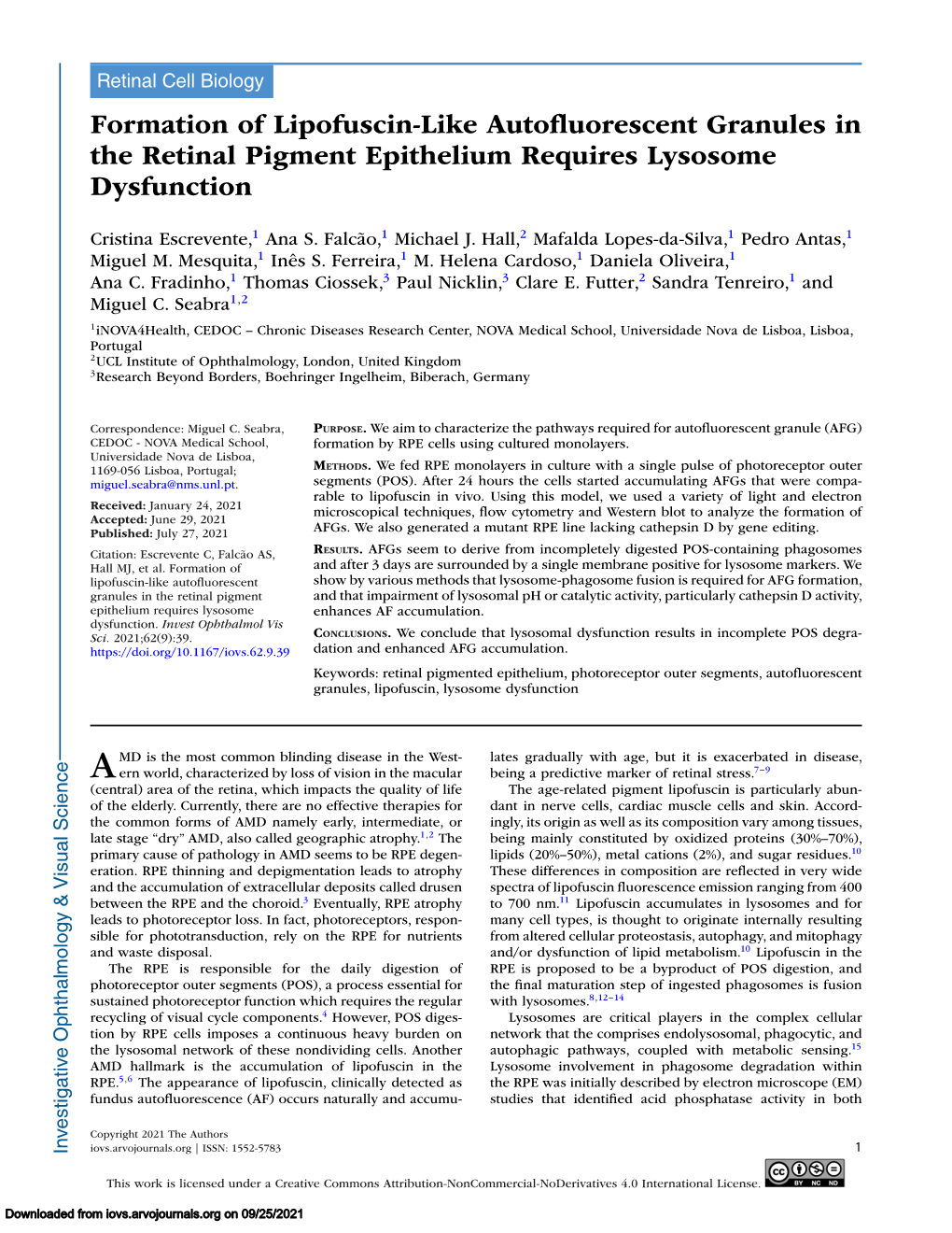 Formation of Lipofuscin-Like Autofluorescent Granules in the Retinal Pigment Epithelium Requires Lysosome Dysfunction