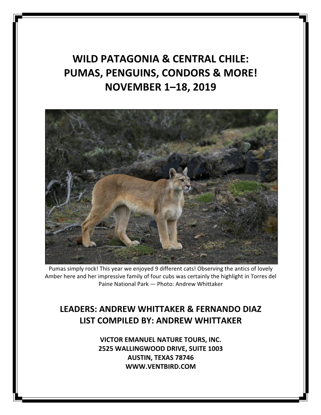 Wild Patagonia & Central Chile