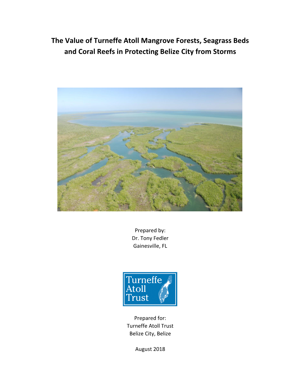 The Value of Turneffe Atoll Mangrove Forests, Seagrass Beds and Coral Reefs in Protecting Belize City from Storms