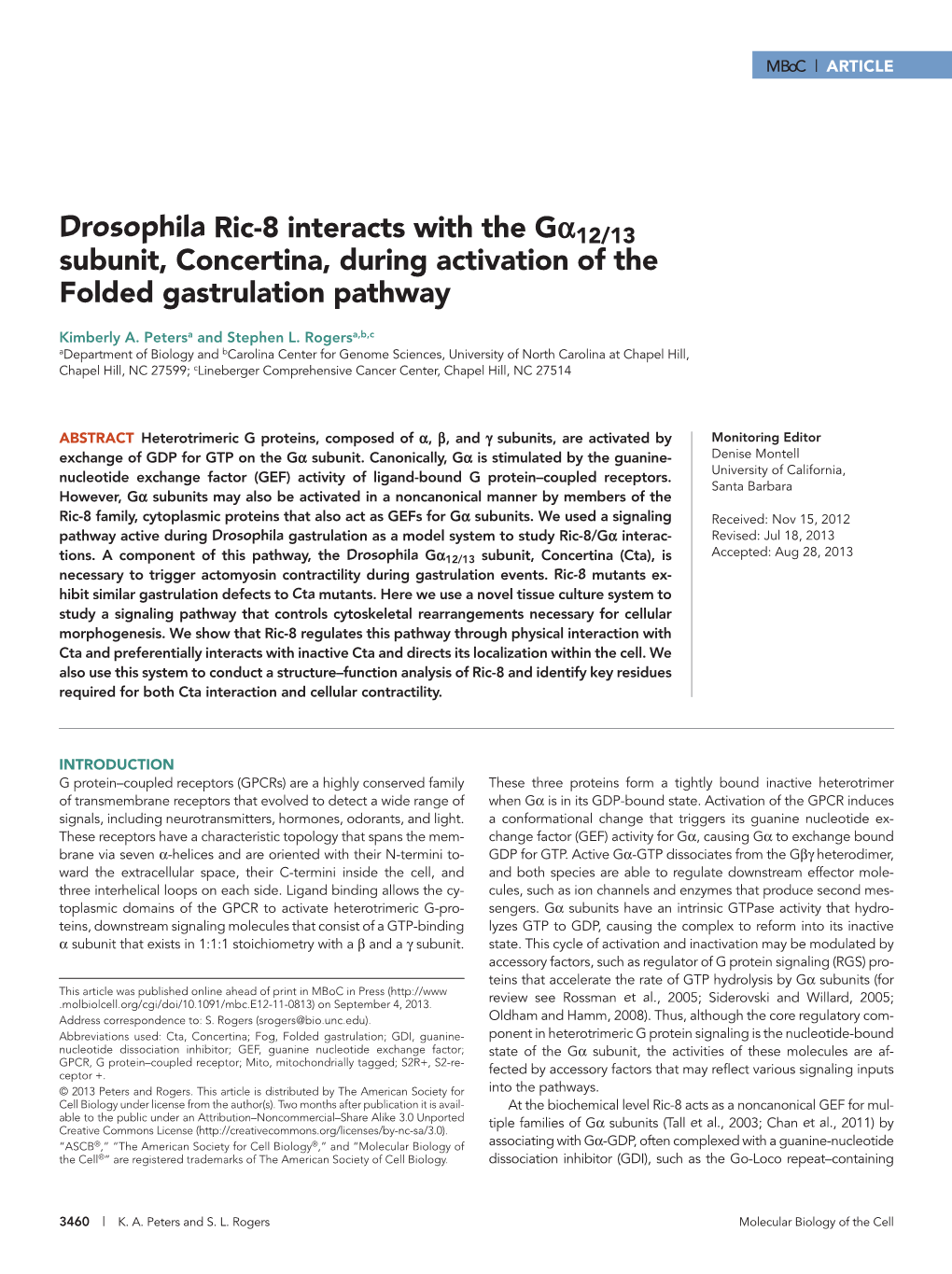 Drosophila Ric-8 Interacts with the Gα12/13 Subunit, Concertina, During Activation of the Folded Gastrulation Pathway