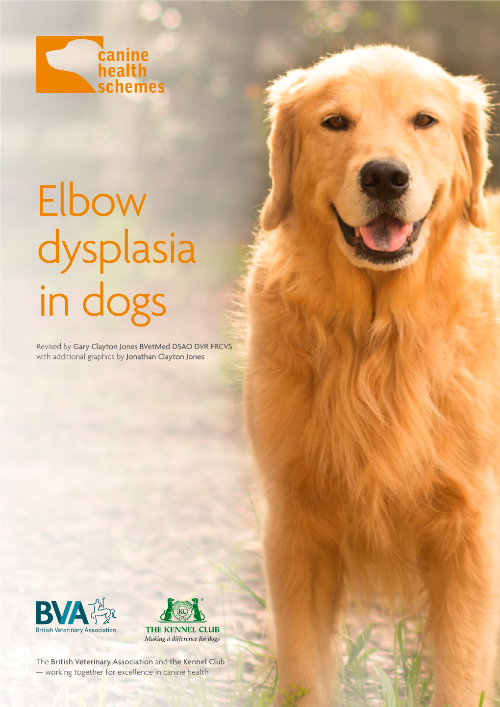 Elbow Dysplasia in Dogs