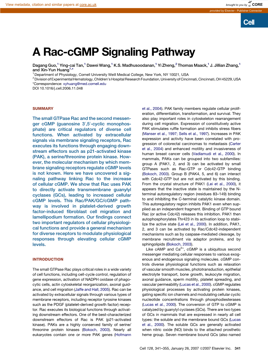 A Rac-Cgmp Signaling Pathway