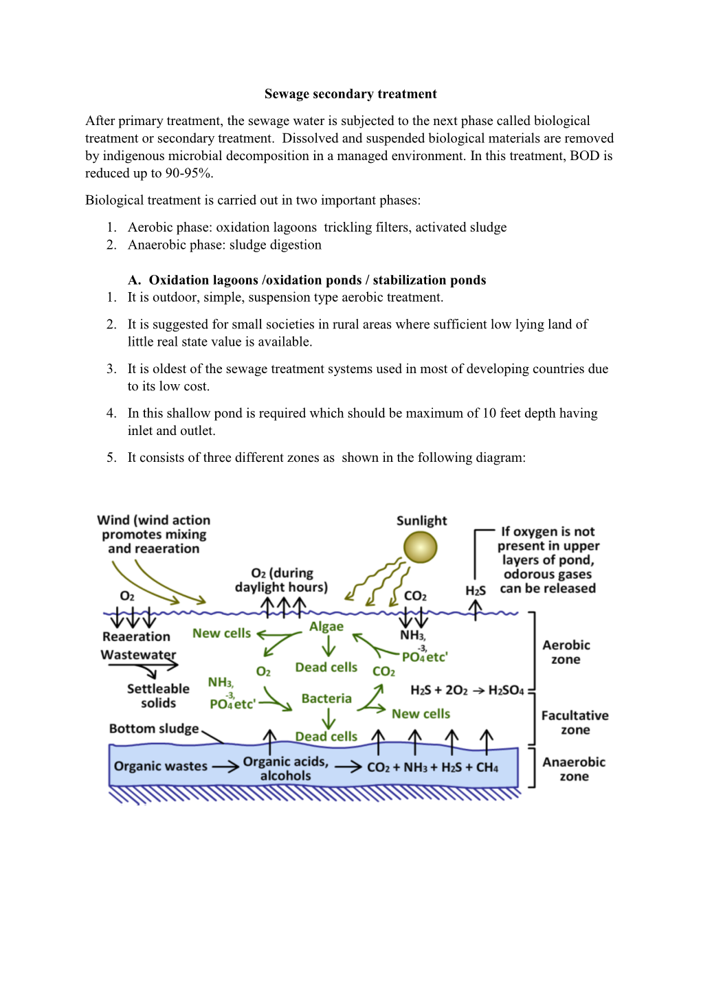 Sewage Secondary Treatment After Primary Treatment, the Sewage Water Is Subjected to the Next Phase Called Biological Treatment Or Secondary Treatment