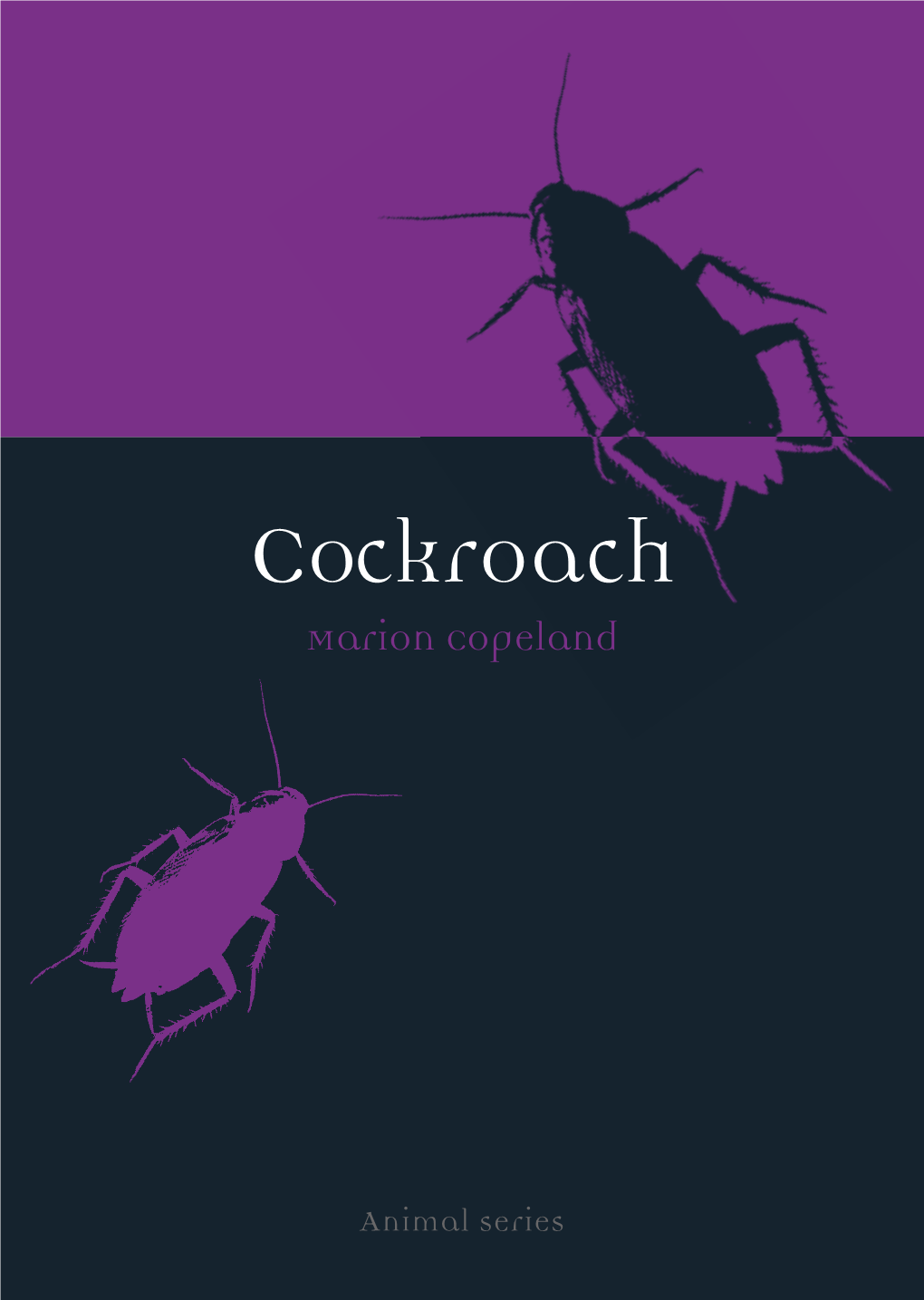 Cockroach Marion Copeland