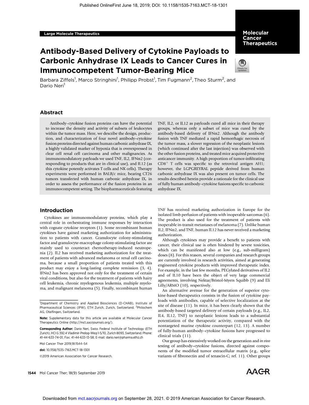 Antibody-Based Delivery of Cytokine Payloads to Carbonic Anhydrase IX