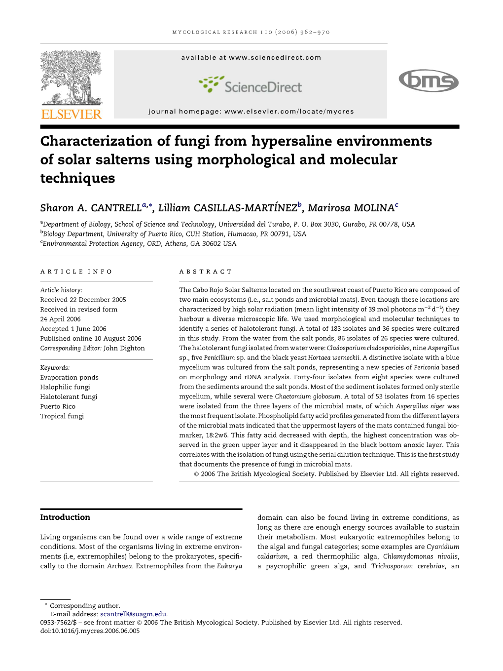 Characterization of Fungi from Hypersaline Environments of Solar Salterns Using Morphological and Molecular Techniques