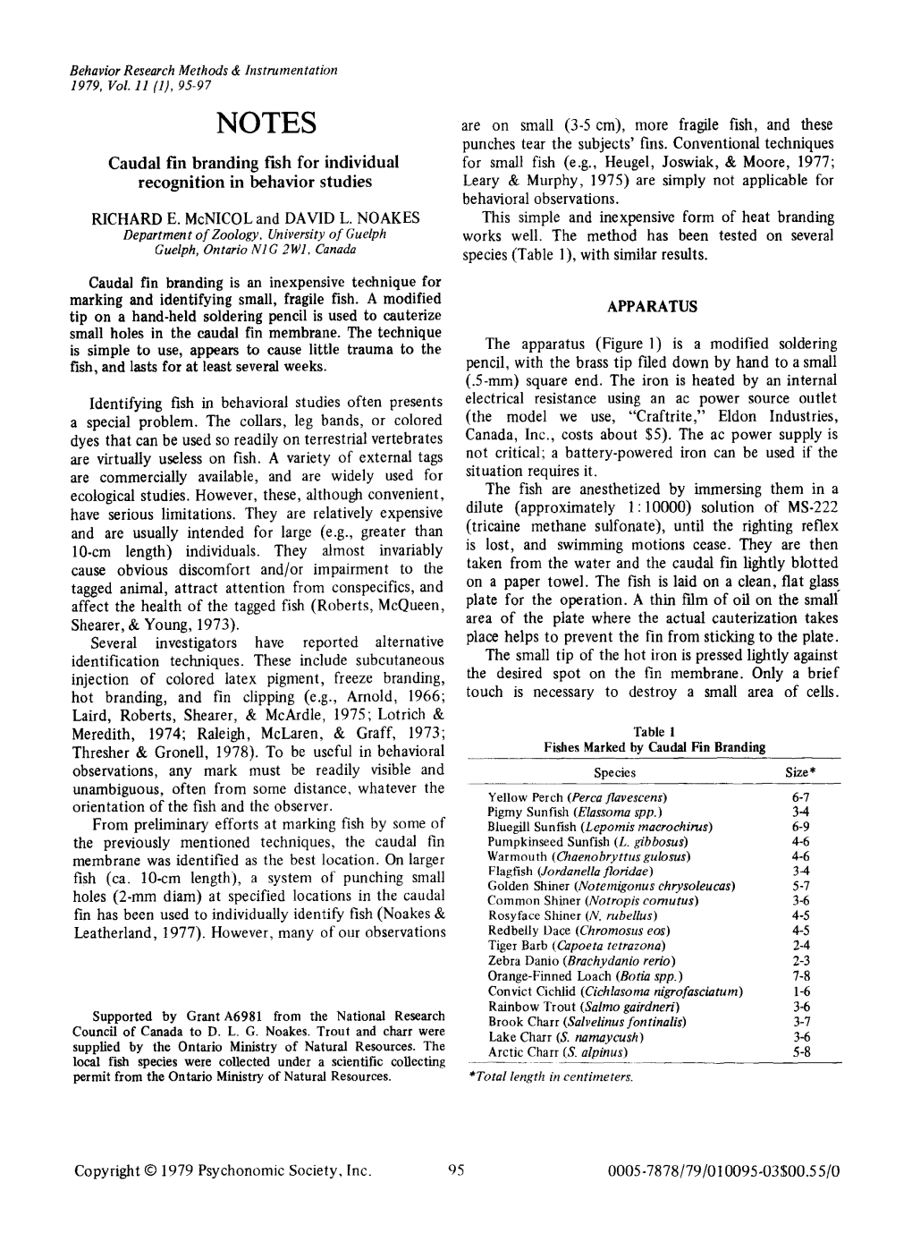 Caudal Fin Branding Fish for Individual Recognition in Behavior Studies