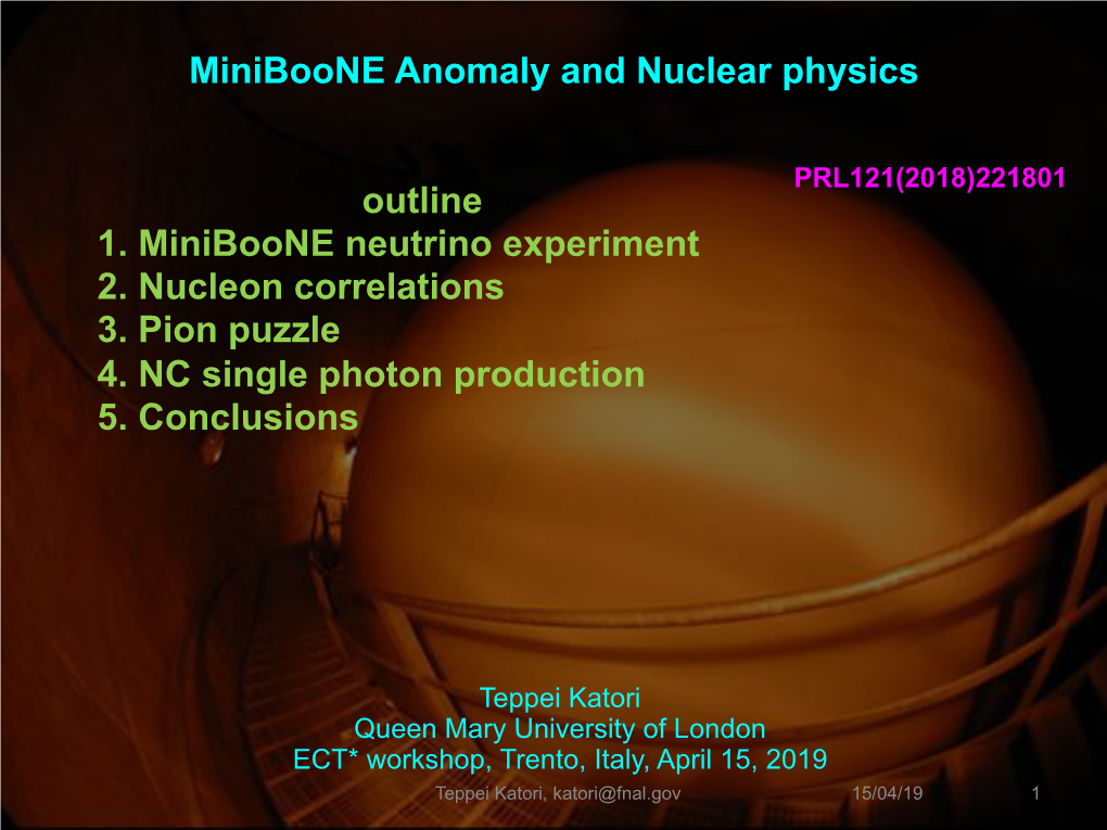 Miniboone Anomaly and Nuclear Physics 4