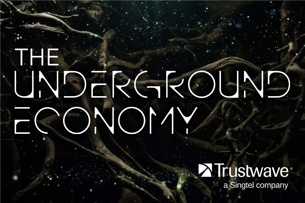 The Underground Economy.Pdf