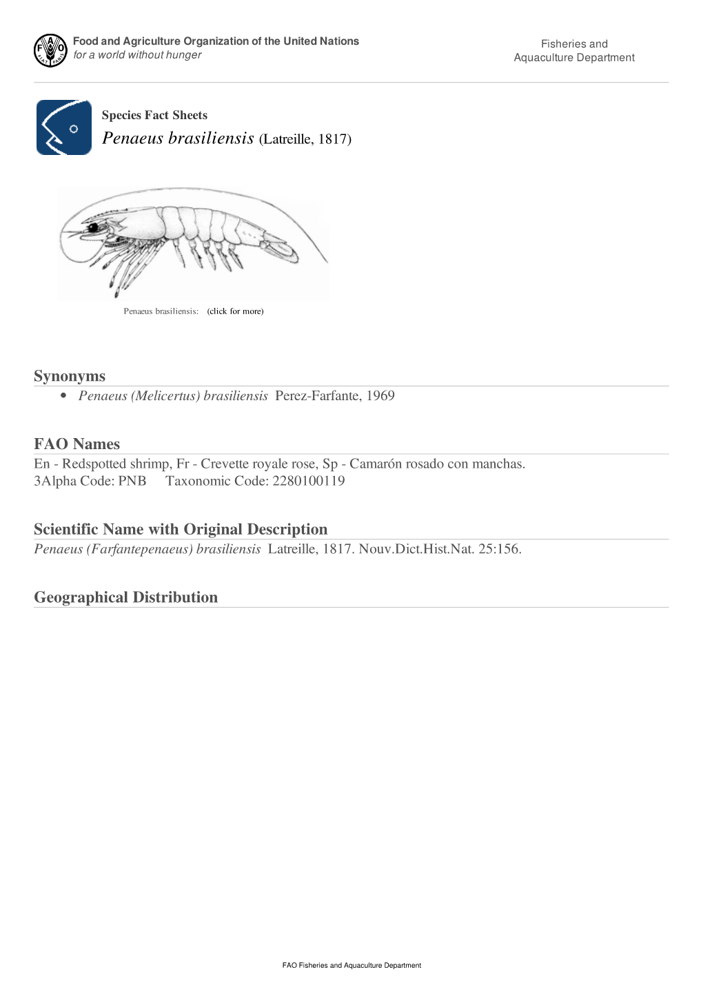 Penaeus Brasiliensis (Latreille, 1817)