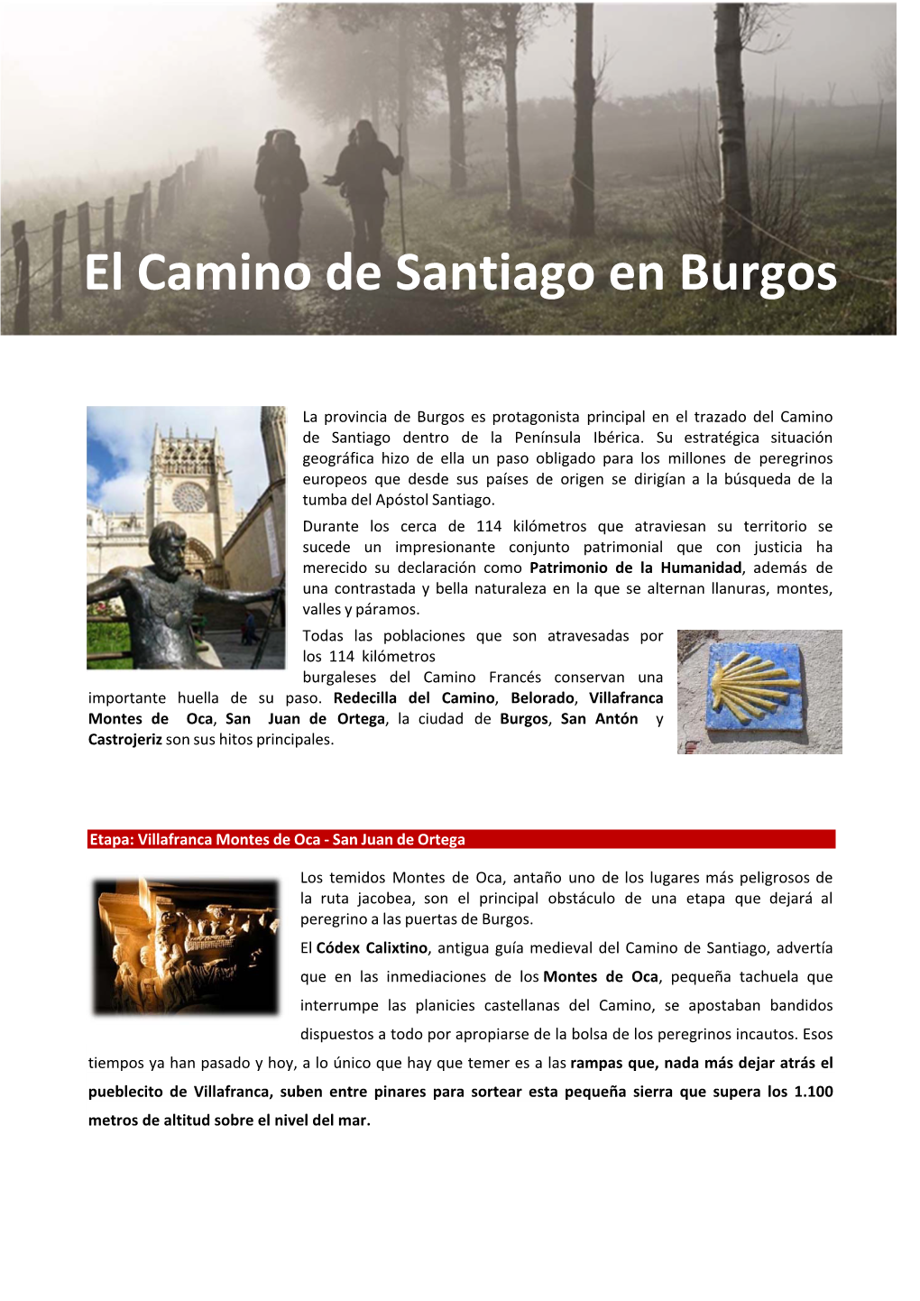El Camino De Santiago En Burgos