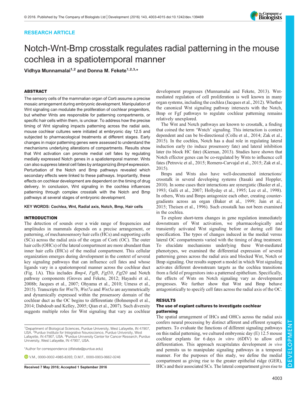 Notch-Wnt-Bmp Crosstalk Regulates Radial Patterning in the Mouse Cochlea in a Spatiotemporal Manner Vidhya Munnamalai1,2 and Donna M