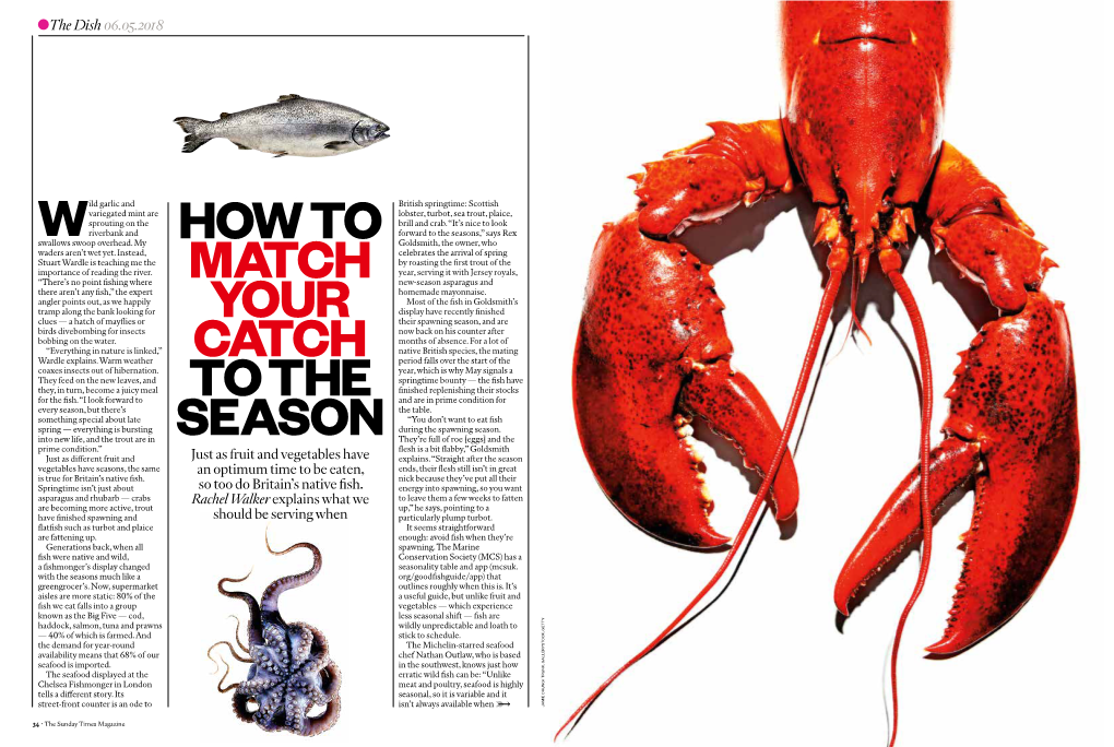 How to Match Your Catch to the Season