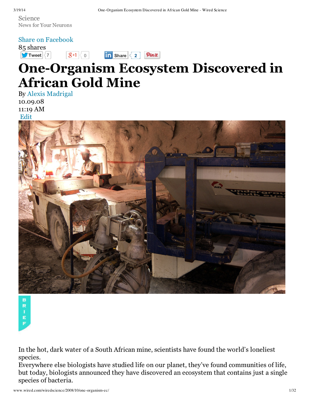 Oneorganism Ecosystem Discovered in African Gold Mine