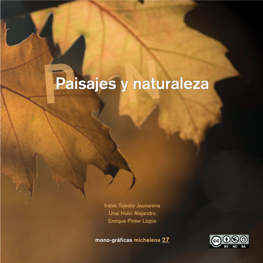 Paisajes Y Naturaleza Ppaisajes Ynaturaleza a I S a J Mono-Gráficas E Iratxe Tejedor Jaunarena S Enrique Pinterllopis Unai Huicialejandro