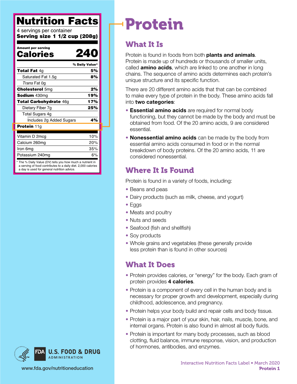 Protein What It Is Protein Is Found in Foods from Both Plants and Animals