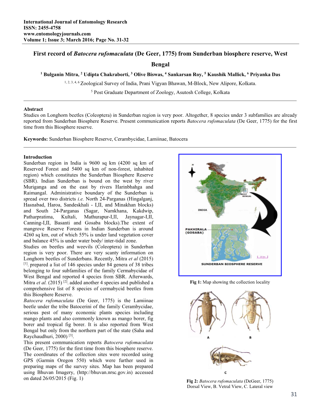 31 First Record of Batocera Rufomaculata (De Geer, 1775) from Sunderban Biosphere Reserve, West Bengal