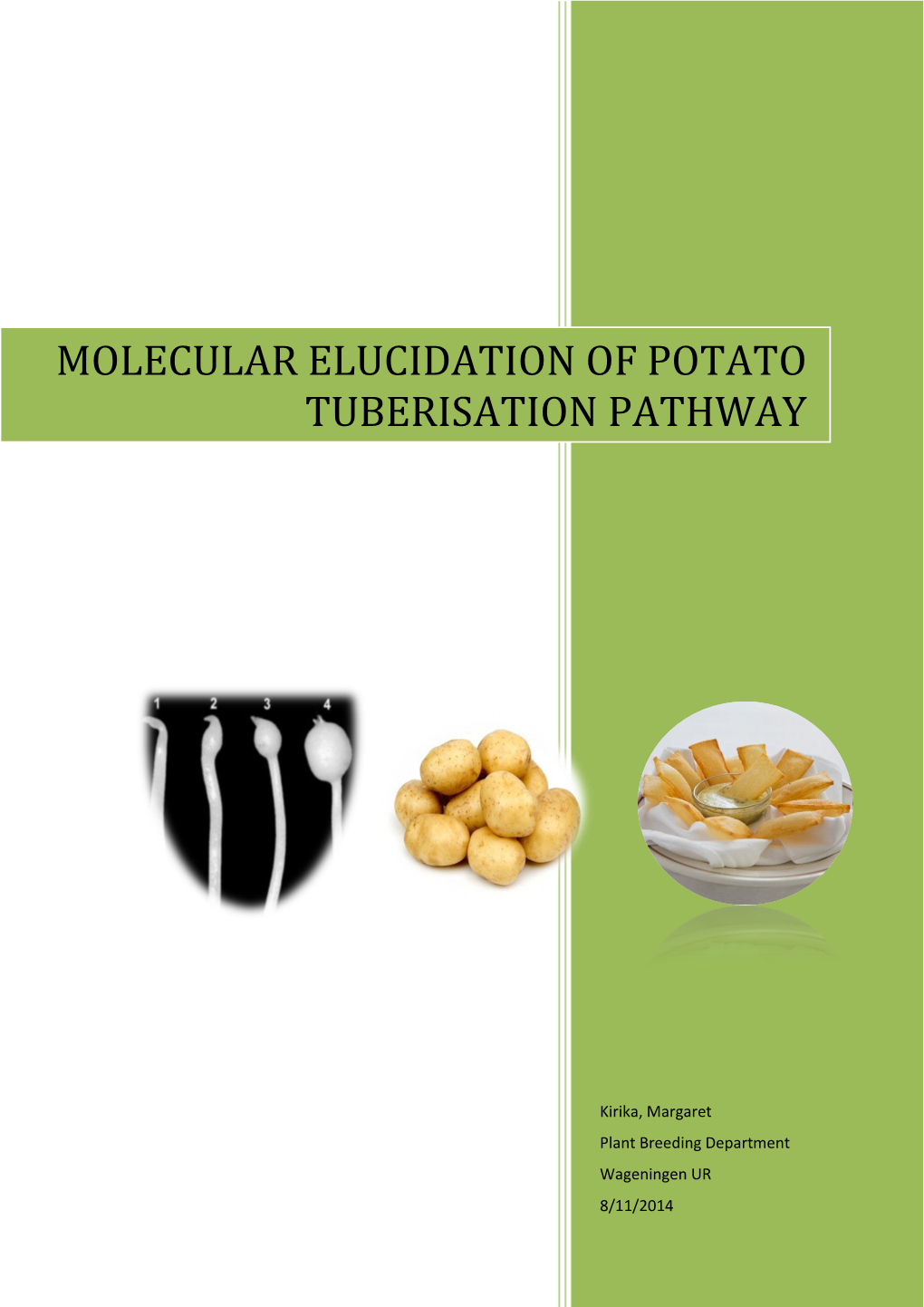 Molecular Elucidation of Potato Tuberisation Pathway