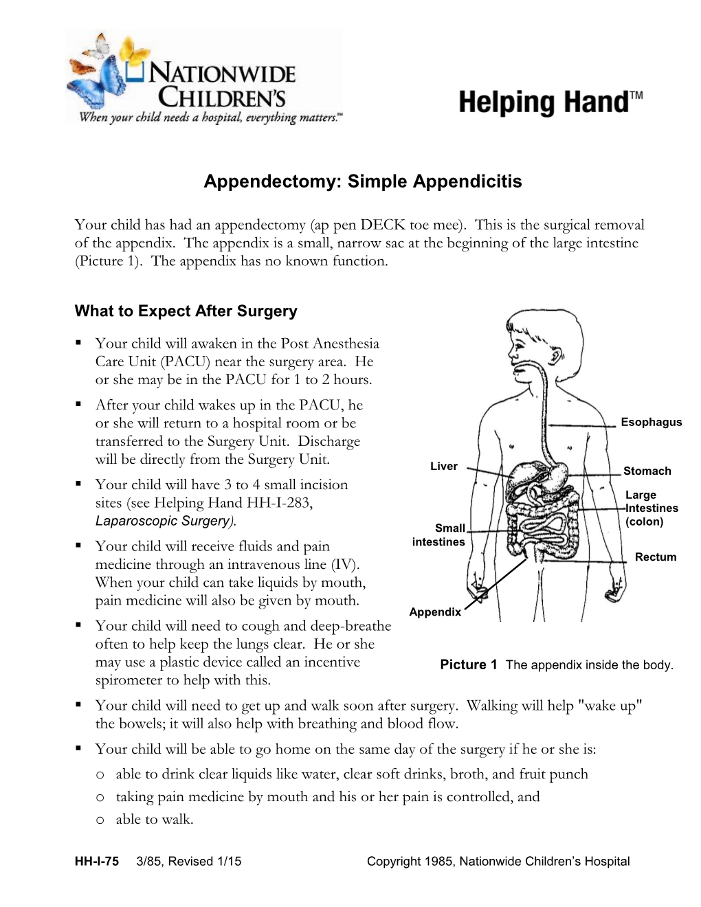 Appendectomy: Simple Appendicitis