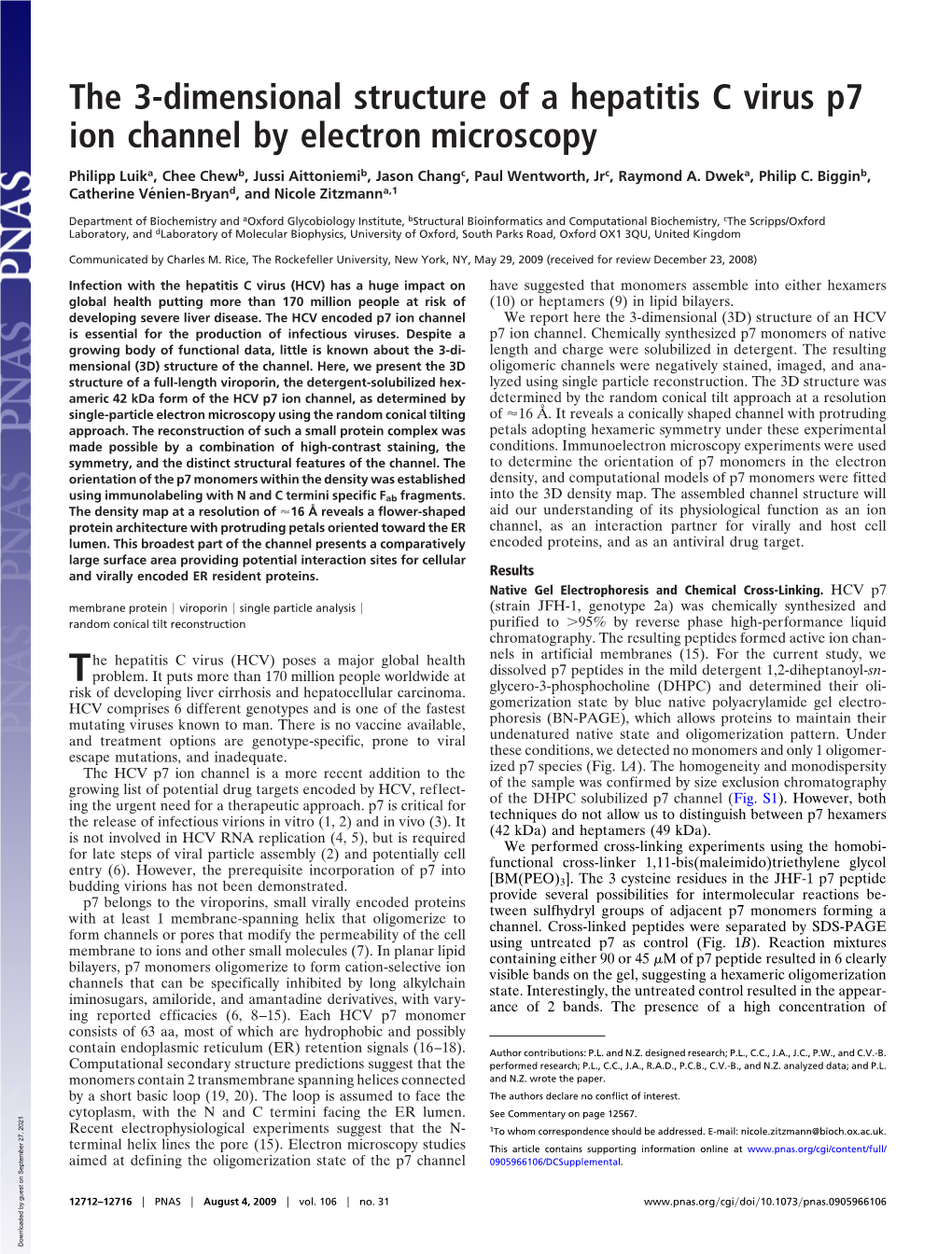 The 3-Dimensional Structure of a Hepatitis C Virus P7 Ion Channel by Electron Microscopy