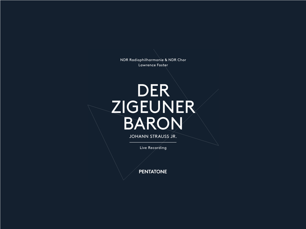 Der Zigeuner Baron Johann Strauss Jr