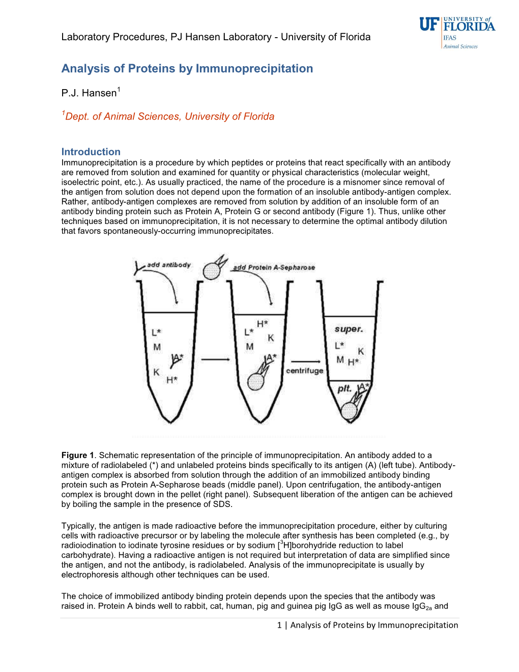 Analysis of Proteins by Immunoprecipitation