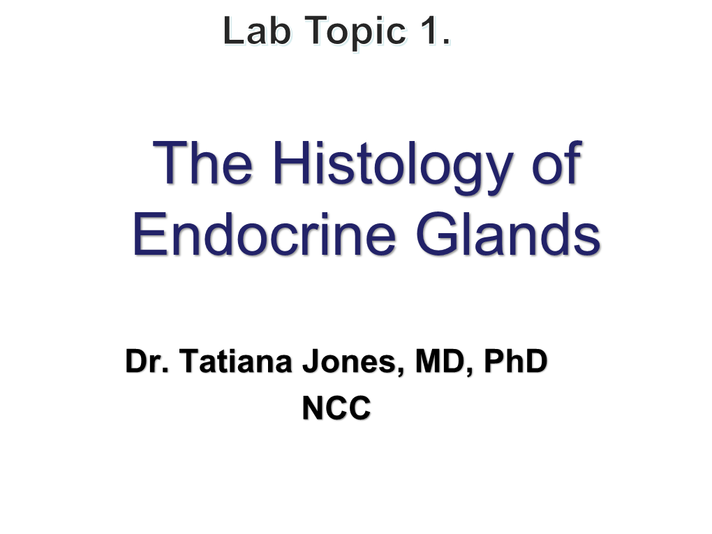 The Histology of Endocrine Glands