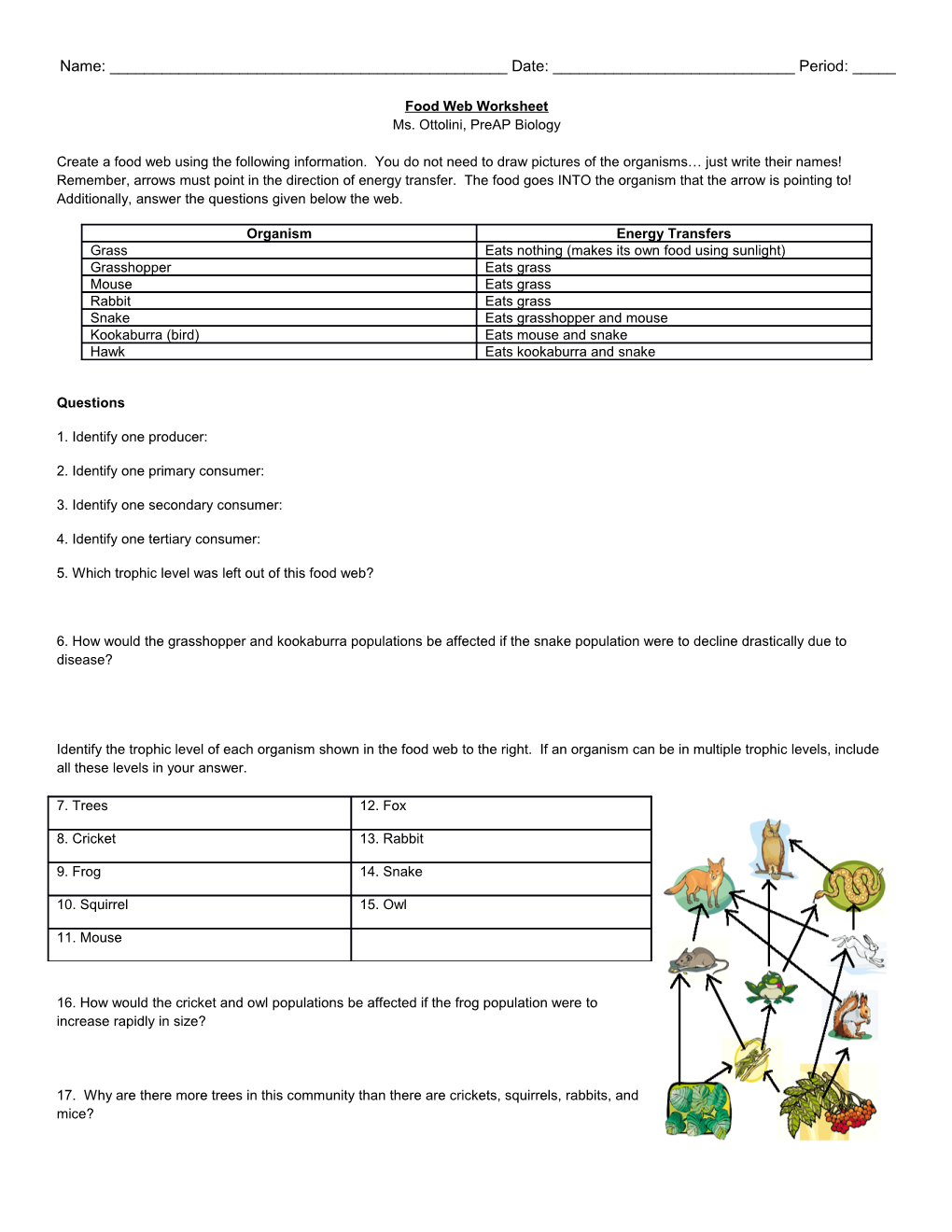 Food Web Worksheet