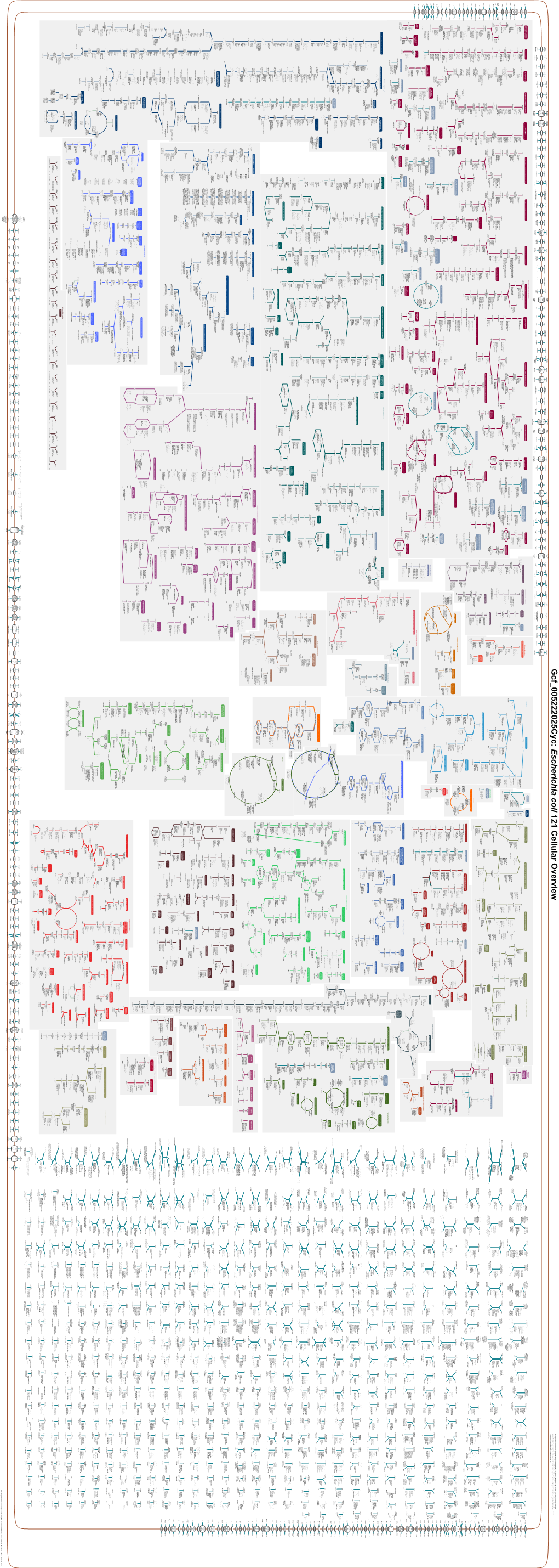 Generated by SRI International Pathway Tools Version 25.0, Authors S