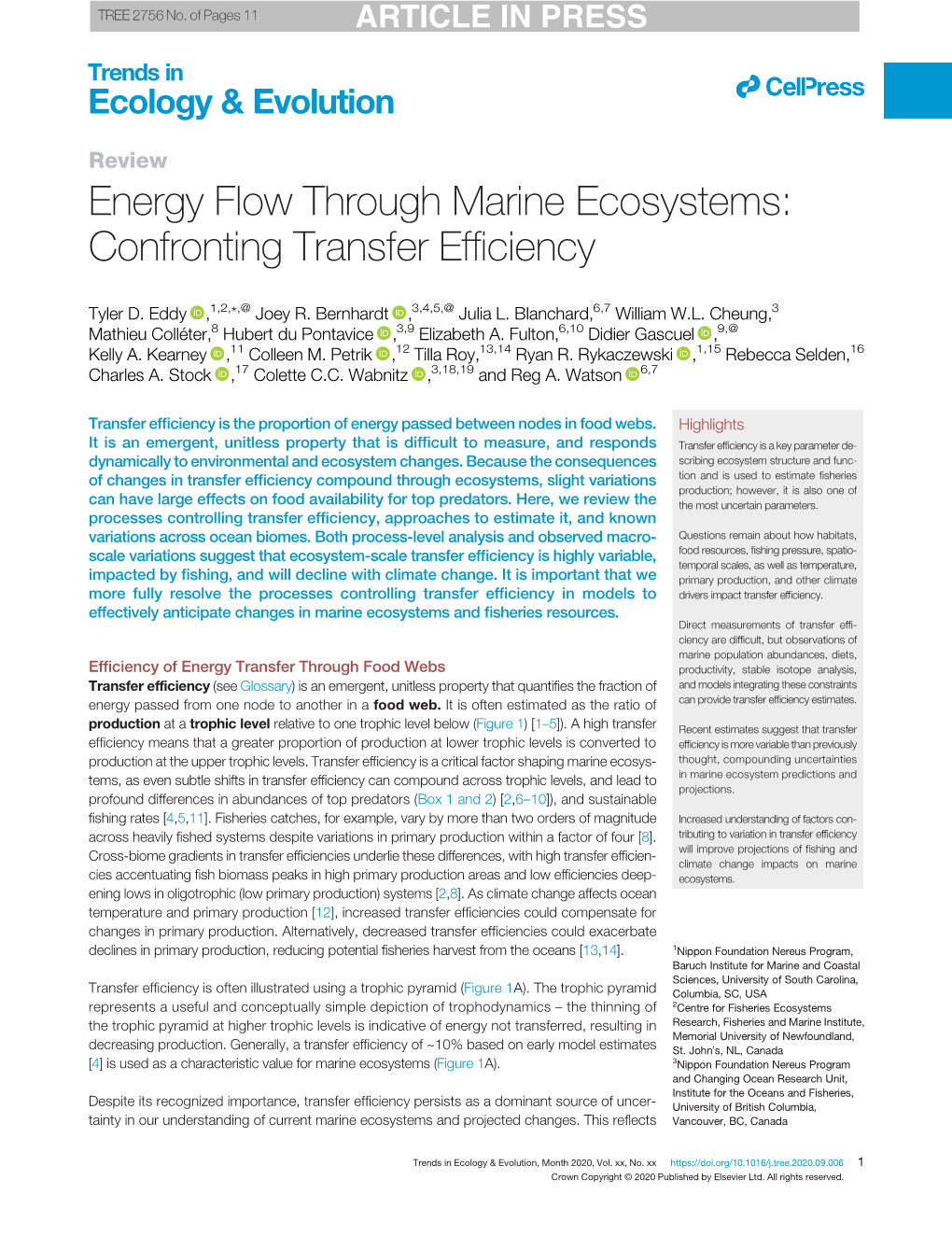 Energy Flow Through Marine Ecosystems: Confronting Transfer Efﬁciency