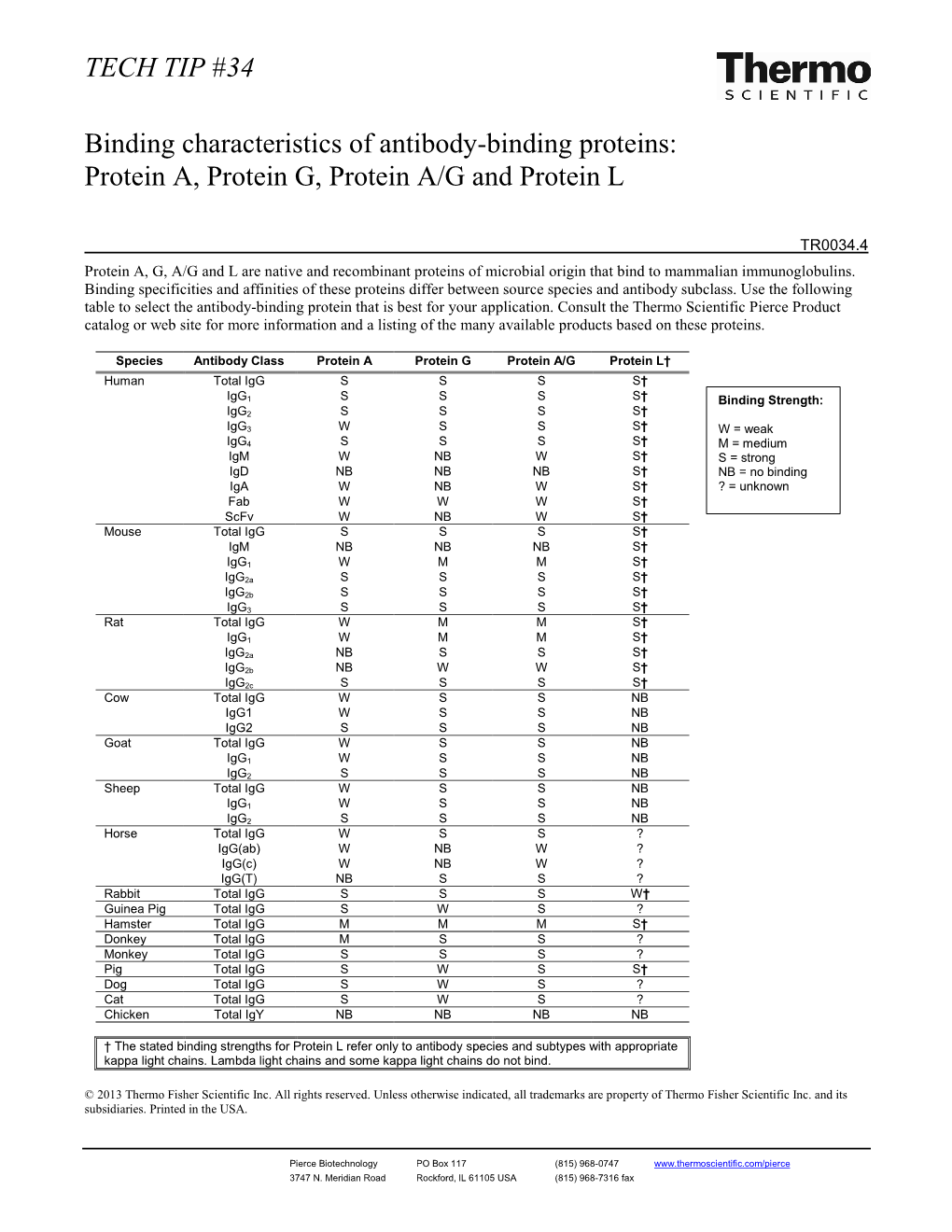 TECH TIP #34 Binding Characteristics of Antibody-Binding Proteins