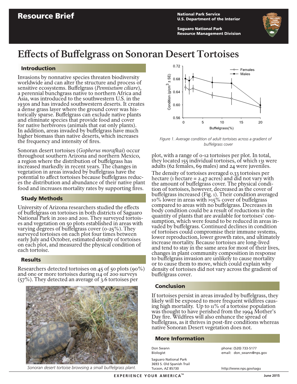 Buffelgrass and Sonoran Desert Tortoises