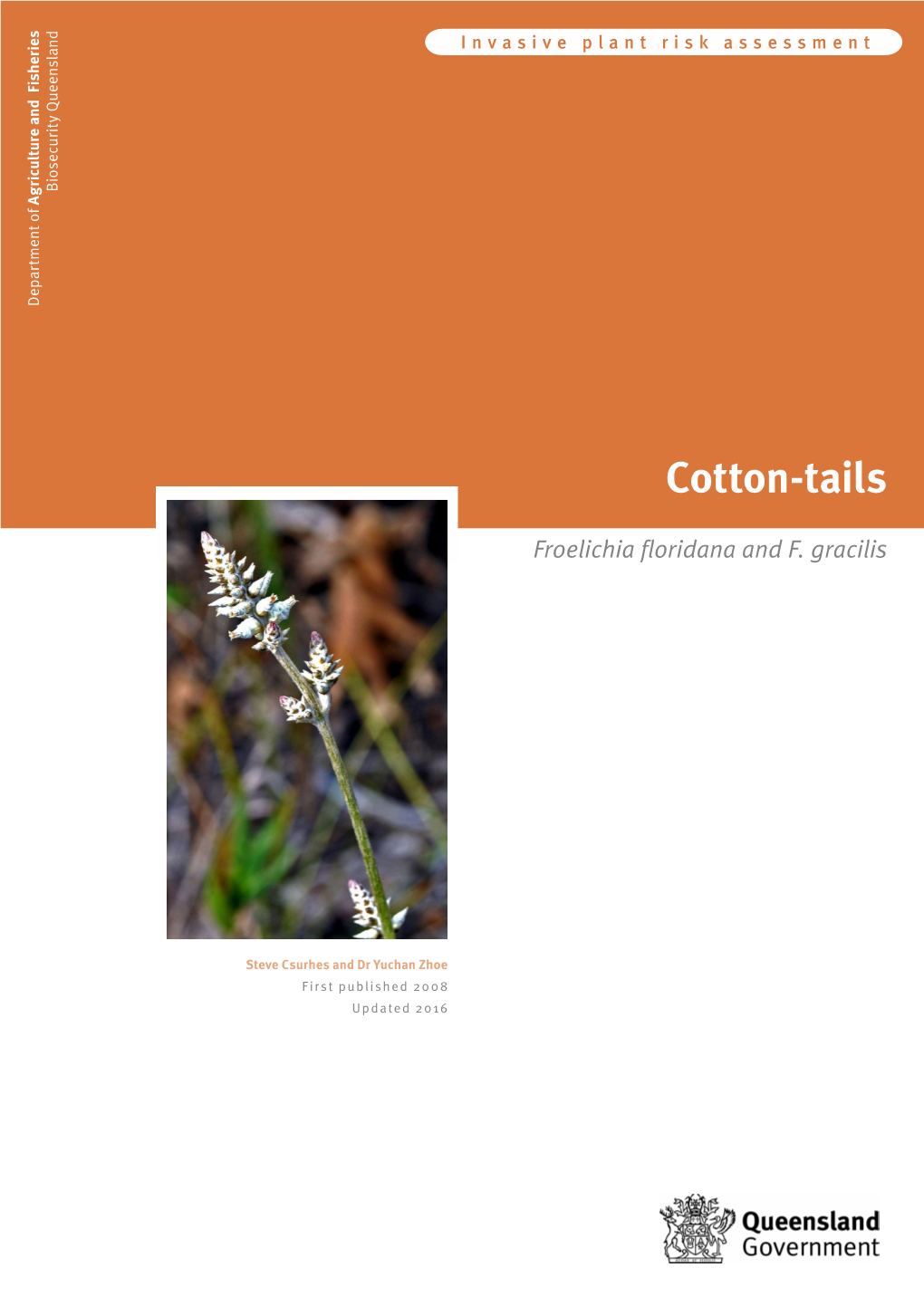 Cotton-Tails