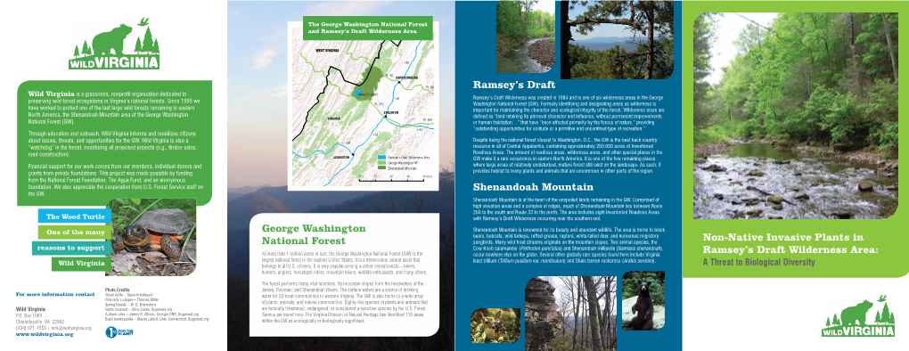 Ramsey's Draft Shenandoah Mountain Non-Native Invasive