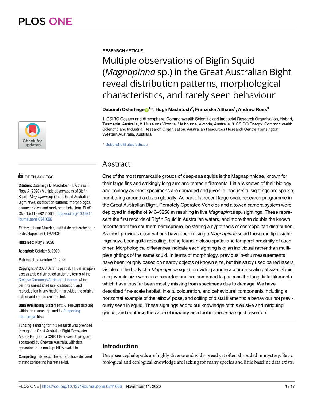 Multiple Observations of Bigfin Squid (Magnapinna Sp.) in the Great