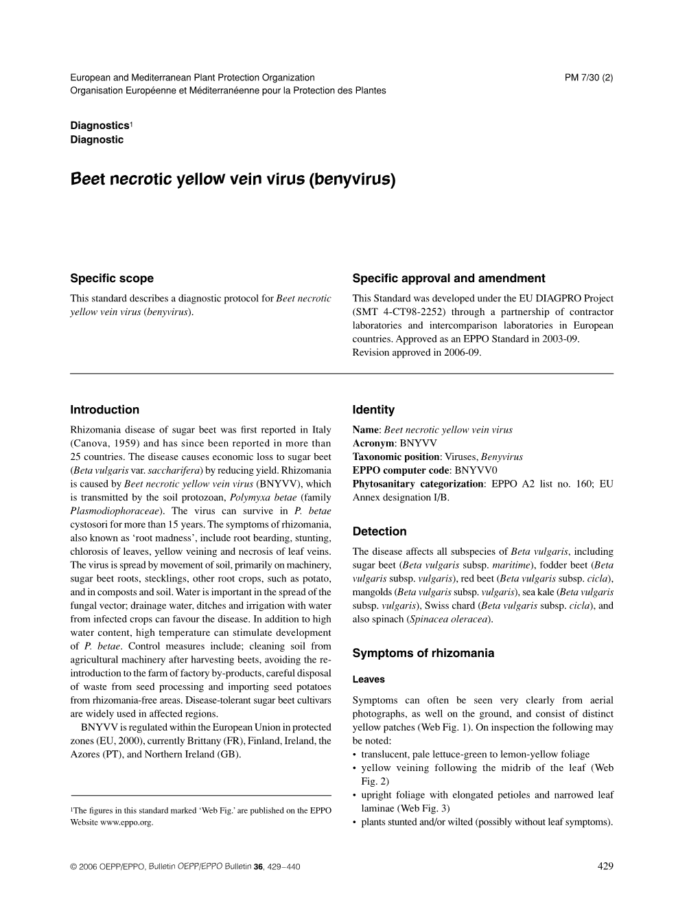 Beet Necrotic Yellow Vein Virus (Benyvirus)