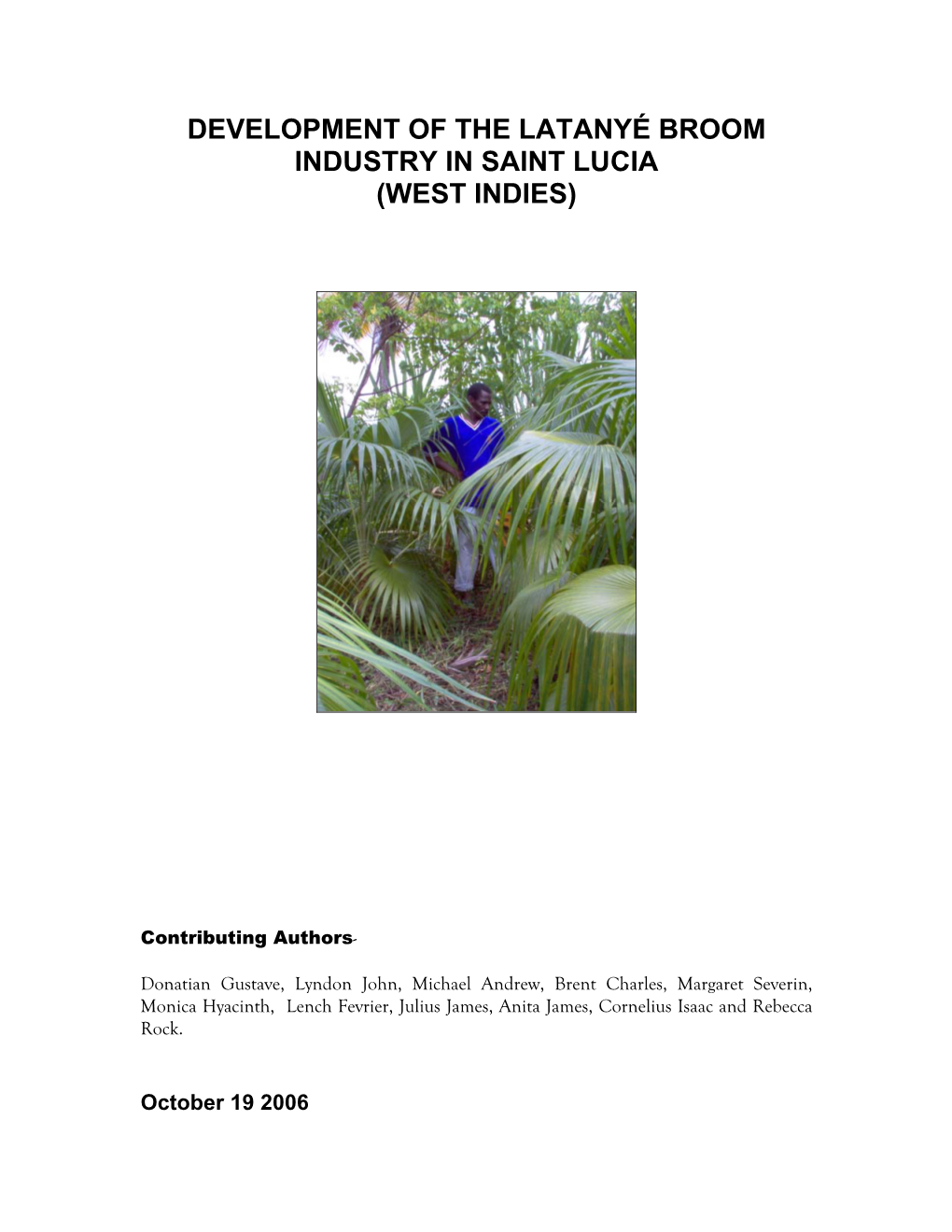 Case Study on Latanye Broom Industry