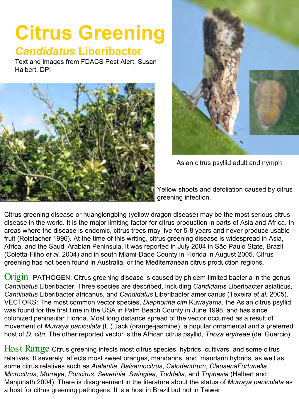 Citrus Greening Candidatus Liberibacter Text and Images from FDACS Pest Alert, Susan Halbert, DPI