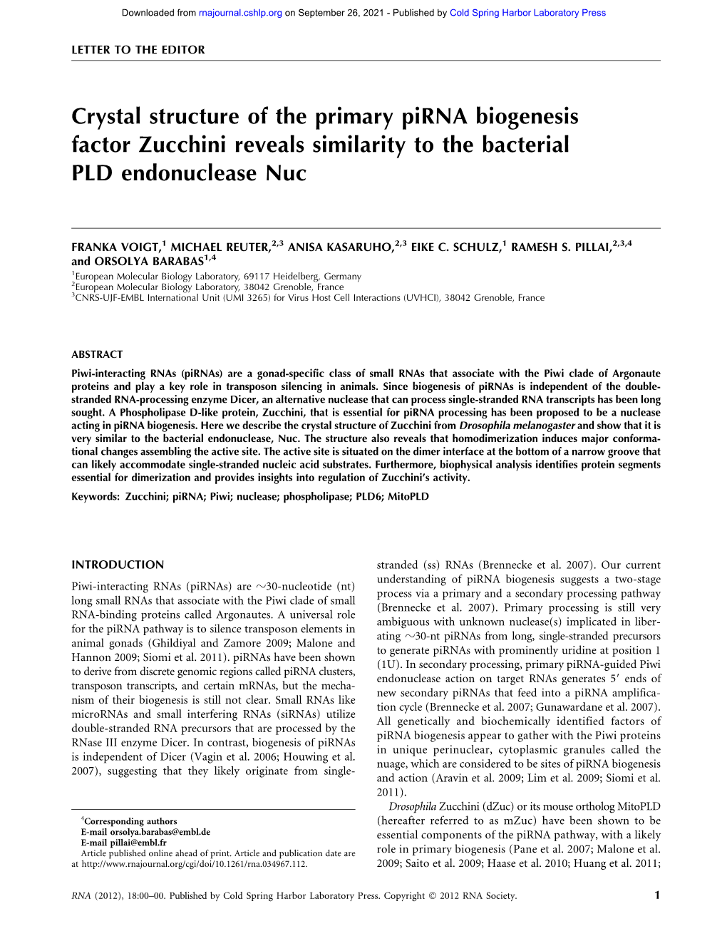 Crystal Structure of the Primary Pirna Biogenesis Factor Zucchini Reveals Similarity to the Bacterial PLD Endonuclease Nuc