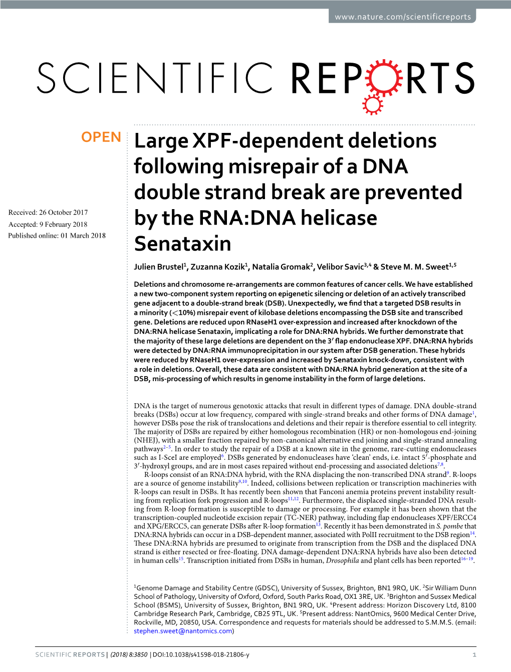 Large XPF-Dependent Deletions Following Misrepair of a DNA Double Strand Break Are Prevented by the RNA:DNA Helicase Senataxin