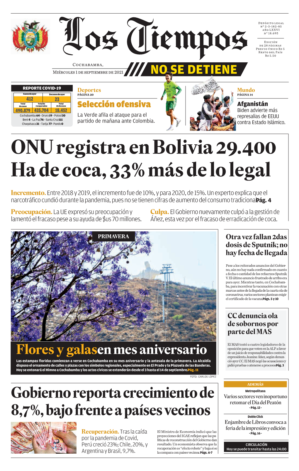 ONU Registra En Bolivia 29.400 Ha De Coca, 33% Más De Lo Legal
