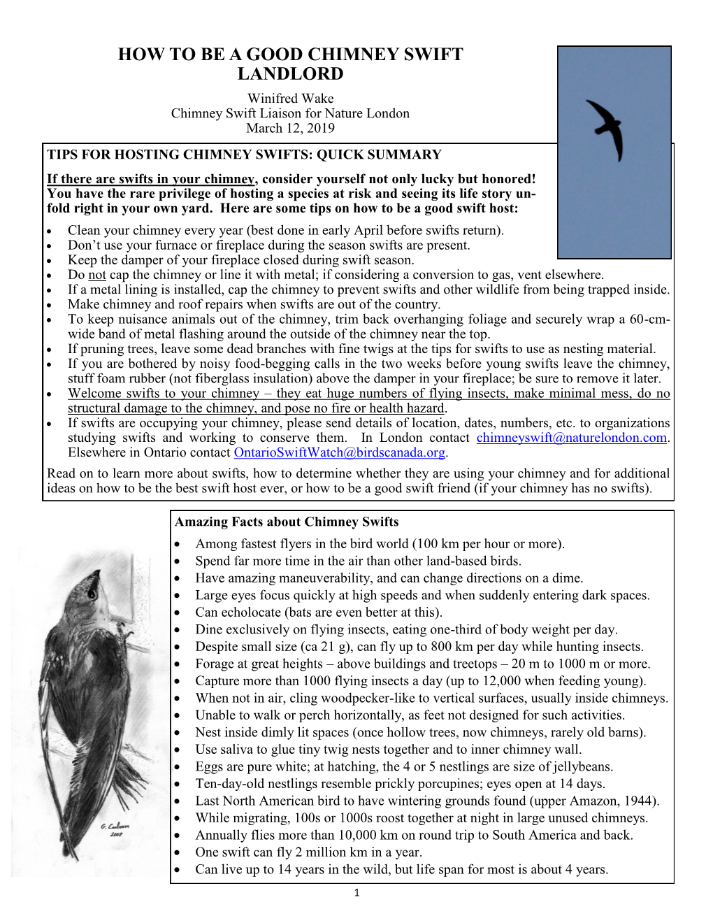 How to Be a Good Chimney Swift Landlord