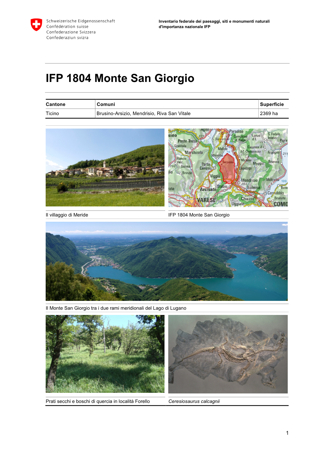 IFP 1804 Monte San Giorgio