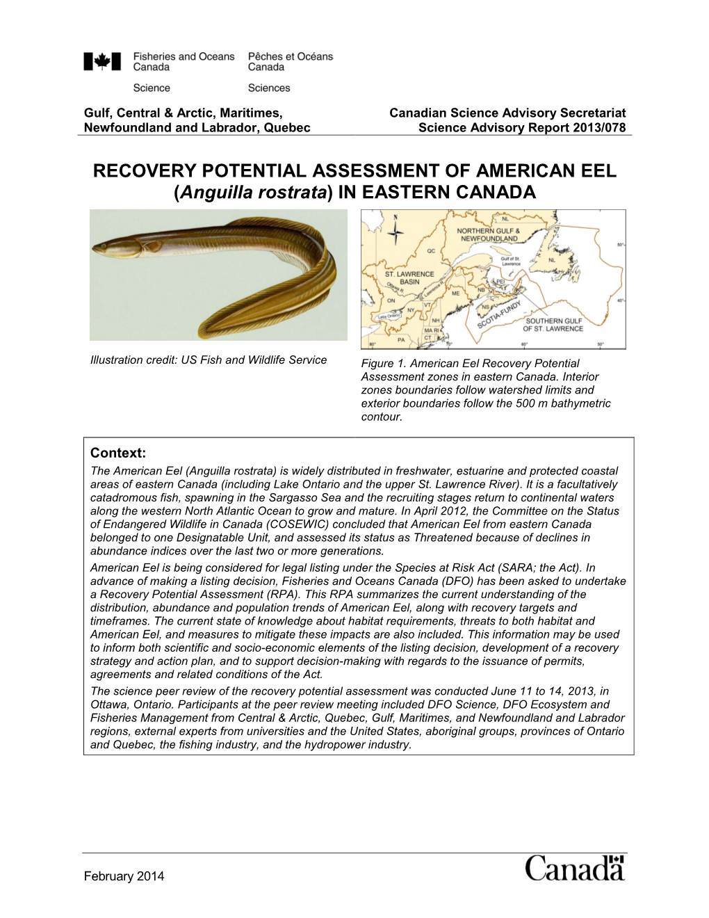 RECOVERY POTENTIAL ASSESSMENT of AMERICAN EEL (Anguilla Rostrata) in EASTERN CANADA