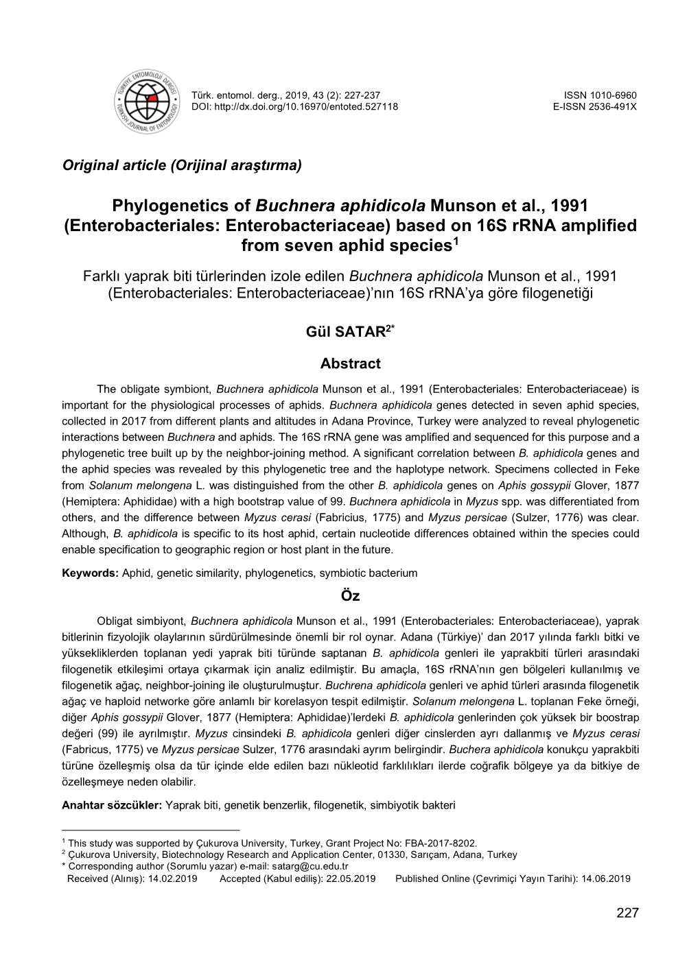 Phylogenetics of Buchnera Aphidicola Munson Et Al., 1991