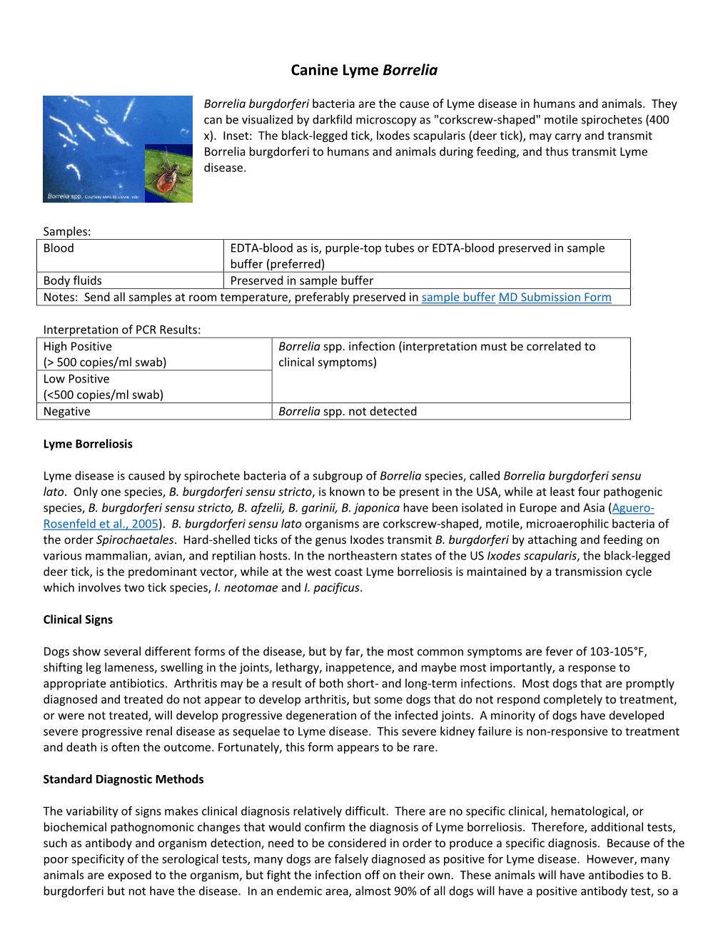 Canine Lyme Borrelia