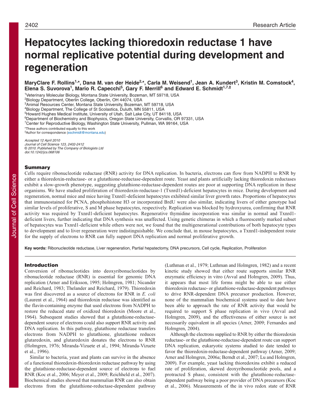 Hepatocytes Lacking Thioredoxin Reductase 1 Have Normal Replicative Potential During Development and Regeneration